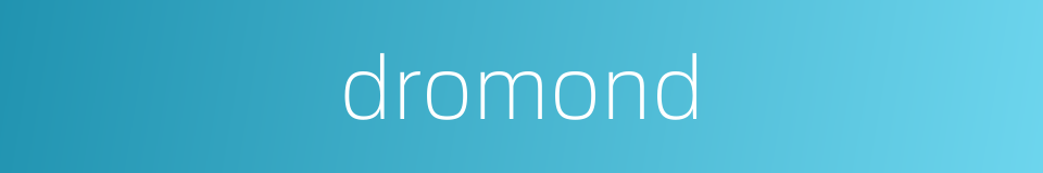 dromond的同义词