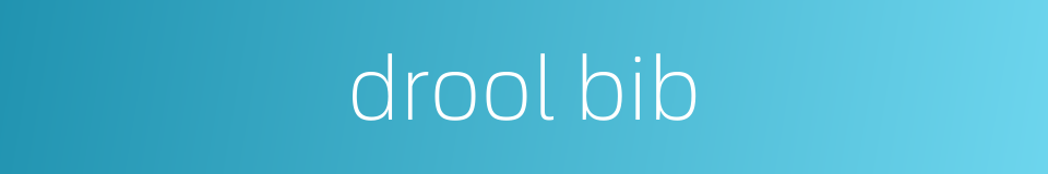 drool bib的同义词