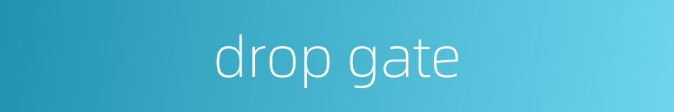 drop gate的同义词