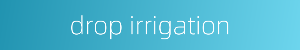 drop irrigation的同义词