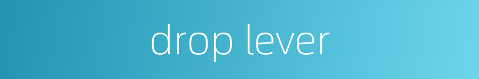 drop lever的同义词