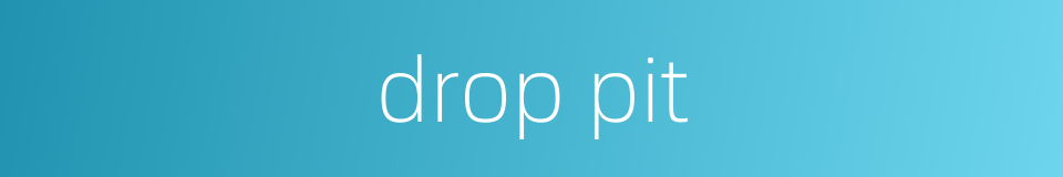 drop pit的同义词