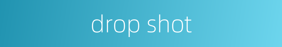 drop shot的同义词