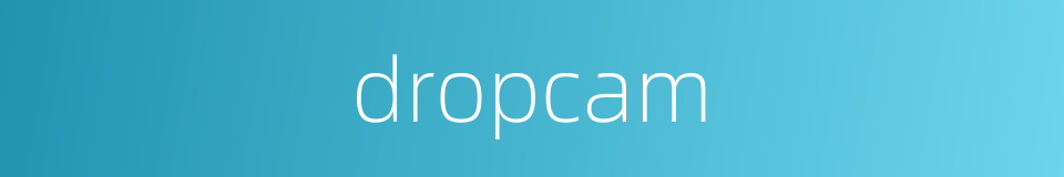 dropcam的同义词