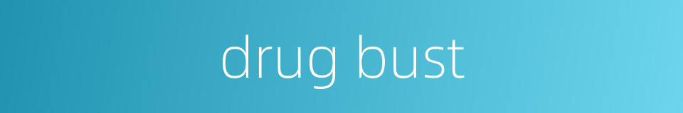 drug bust的同义词