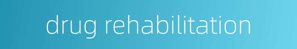 drug rehabilitation的同义词
