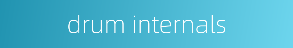 drum internals的同义词