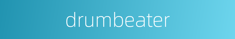 drumbeater的同义词