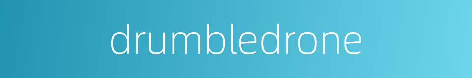 drumbledrone的同义词