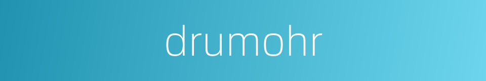 drumohr的同义词