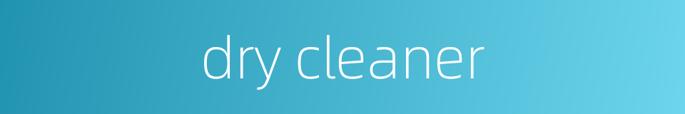 dry cleaner的同义词