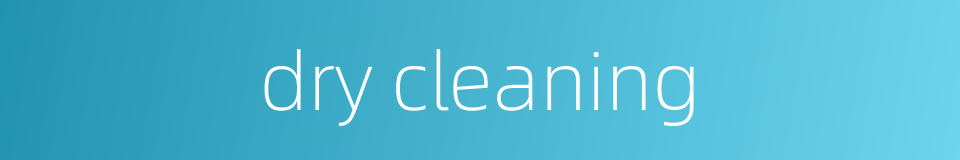 dry cleaning的同义词