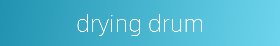 drying drum的同义词