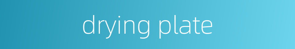 drying plate的同义词