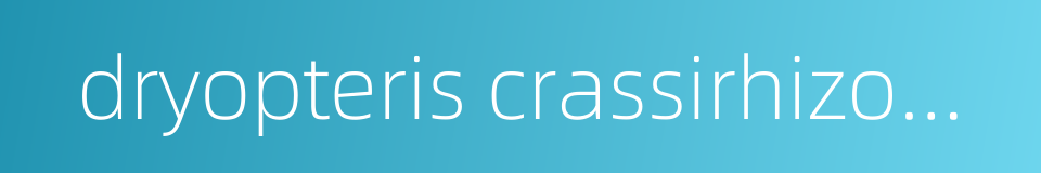 dryopteris crassirhizoma nakai的同义词