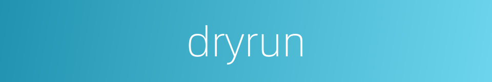 dryrun的同义词