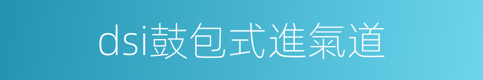 dsi鼓包式進氣道的同義詞