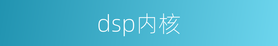 dsp内核的同义词