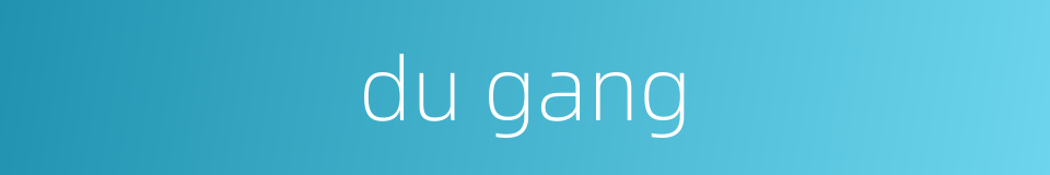 du gang的同义词