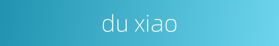 du xiao的同义词