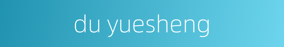 du yuesheng的同义词