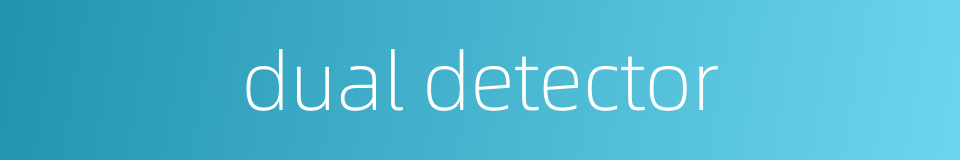 dual detector的同义词
