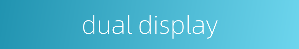 dual display的同义词