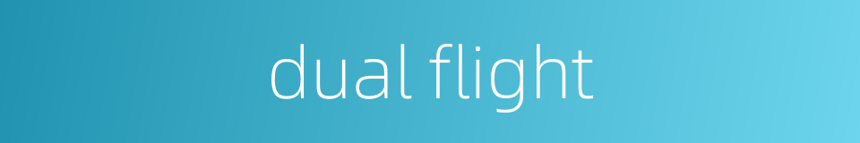 dual flight的同义词