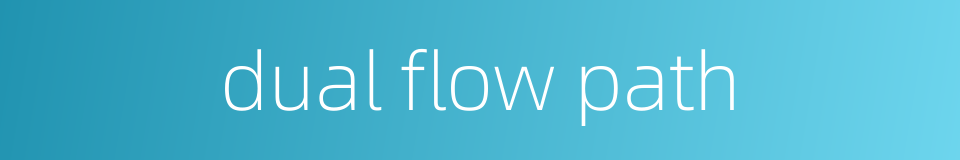 dual flow path的同义词