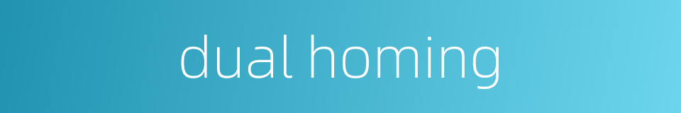dual homing的同义词