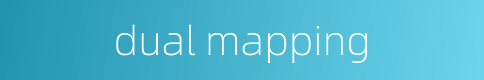 dual mapping的同义词