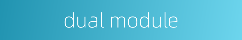 dual module的同义词