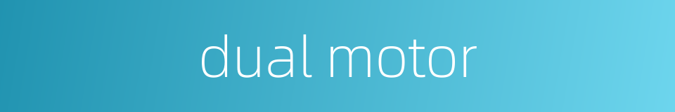 dual motor的同义词