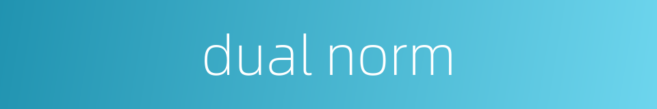 dual norm的同义词