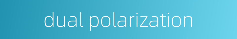 dual polarization的同义词