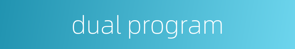 dual program的同义词