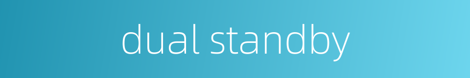 dual standby的同义词