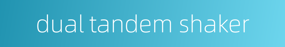 dual tandem shaker的同义词
