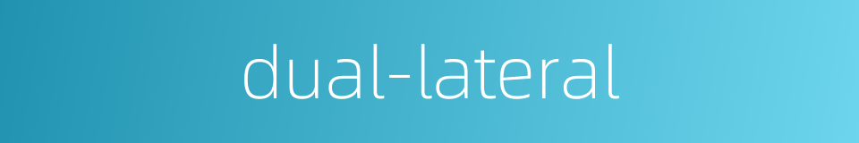 dual-lateral的同义词