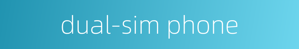 dual-sim phone的同义词