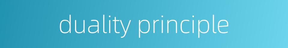 duality principle的同义词
