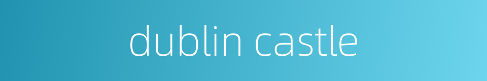 dublin castle的同义词