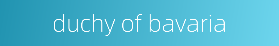 duchy of bavaria的同义词