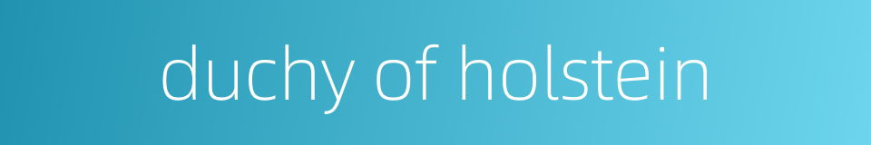 duchy of holstein的同义词