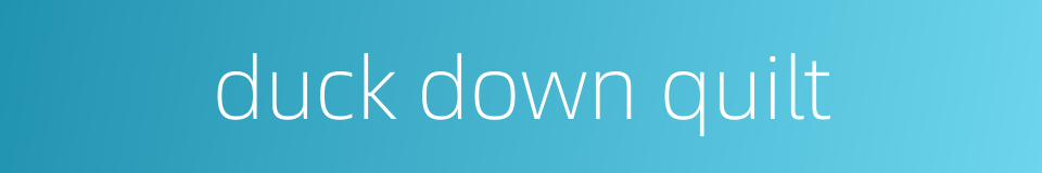 duck down quilt的同义词