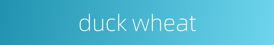duck wheat的同义词