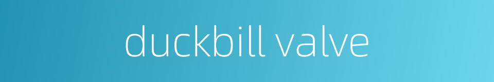 duckbill valve的同义词