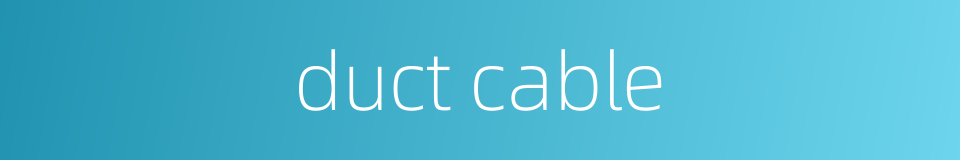 duct cable的同义词
