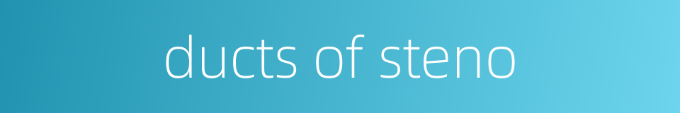 ducts of steno的同义词