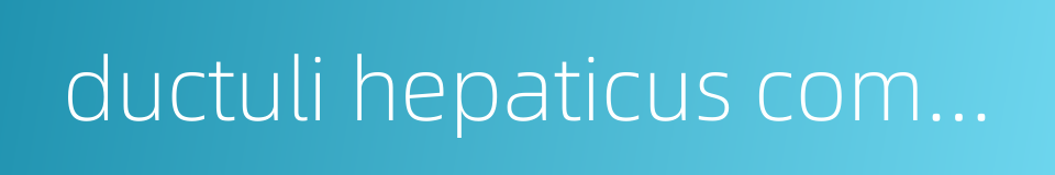 ductuli hepaticus communis的同义词